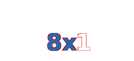 8x1